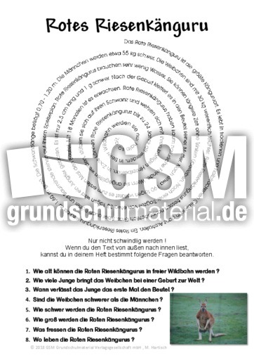 Rotes Riesenkänguru.pdf